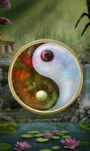 Panda Money